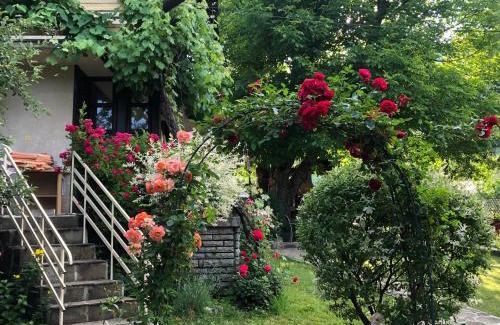 Ribaritsa House | Luylyana Guesthouse