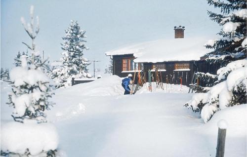 Nes House | Månebu