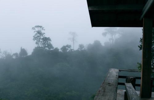 Chiang Rai House | Ma Family Coffee Farm ไร่กาแฟครอบครัวมะ