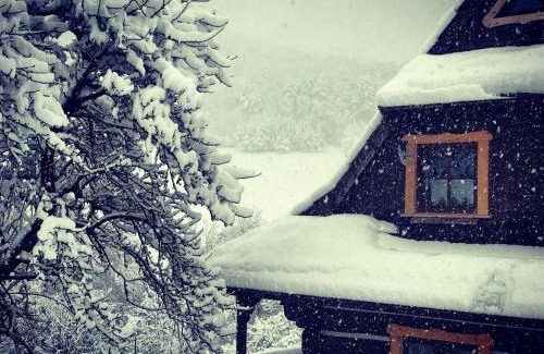 Baligrod Cabin | Maciejewka