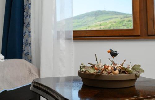 Tokaj House | Madárdalos Kert és Vendégház