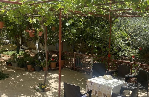 Madaba Apartment | Madaba