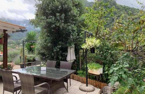 Sao Vicente Bed & Breakfast | maderedocevida