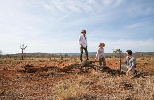 Madikwe Game Reserve Cabin | Madikwe Hills Private Game Lodge