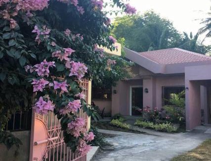 Legazpi House | Magayon Pink House