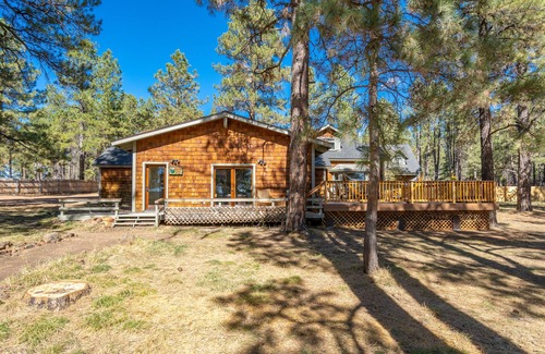 Flagstaff Cabin | Magdalena Meadows Retreat. Amazing Million Dollar Property on 3 acre property