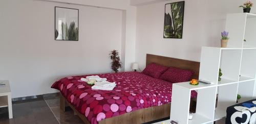 Ploiesti Apartment | Magic Studio
