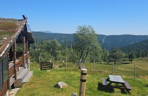 Vinje Cabin | Magic View | Unspoiled nature | Summer mountain pasture with goats