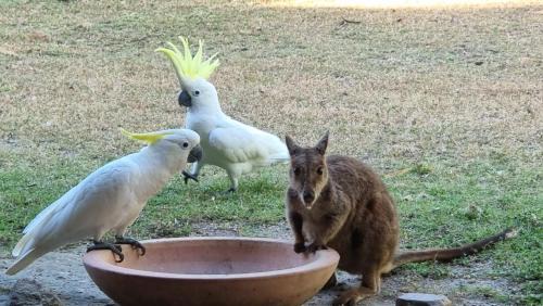 Horseshoe Bay Bed & Breakfast | Magnetic Island Bed and Breakfast