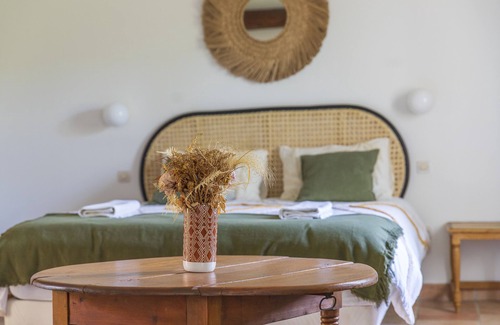 Ponteves Other | Magnificent Mas provençal with swimming pool, pétanque, pizza oven, volleyball