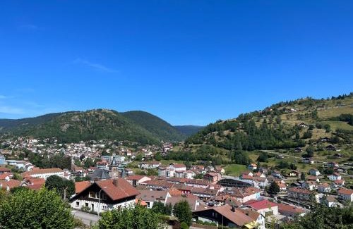 La Bresse Apartment | Magnifique appartement classé 4 étoiles avec Sauna et terrasse dans chalet