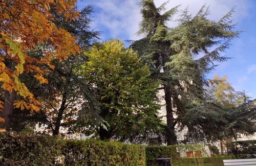 Le Celle-Saint-Cloud Apartment | Magnifique Appartement F4 de 80 M2 à La Celle Saint-cloud Dans Résidence Privée