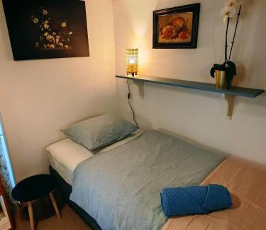Vysne Opatske Apartment | Magnolia Apartment with free parking
