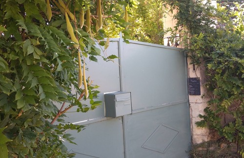 Chinon House | Magnolias houses