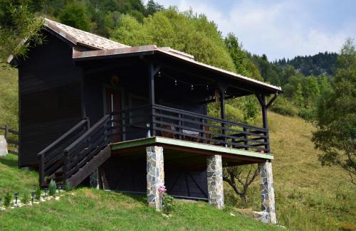 Moieciu Ski Chalet | Magura Rustic Tiny House