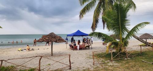 Mahambo Hotel | MAHAMBO BEACH hôtel