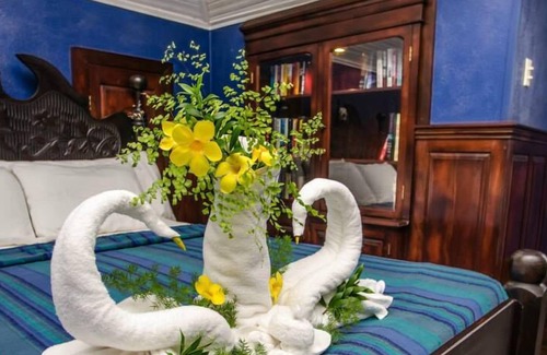 Bullet Tree Falls Resort | Mahogany Hall Boutique Resort