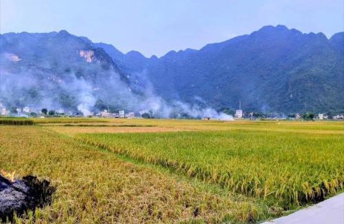 Mai Chau House | mai chau rice fields homestay