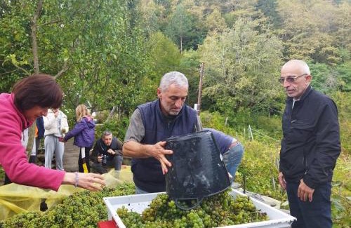 Mirzaani House | Maia's Farmstay & Cuisine - Tours and Master classes