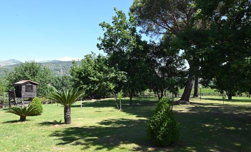 Sessa Aurunca Bed & Breakfast | Maiano Relais
