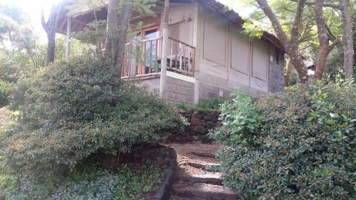 Nakuru Cabin | Maili Saba Camp