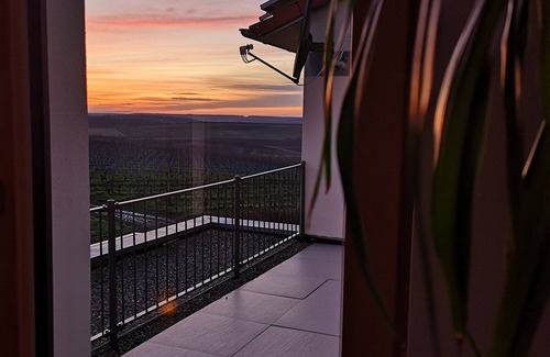 Kitzingen Apartment | Main vacation in the vineyard