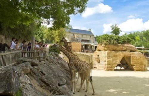 Louresse-Rochemenier House | Maison 2-3 pers semi-troglodyte Angers-Saumur