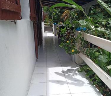 Sainte-Anne House | Maison Alpinia