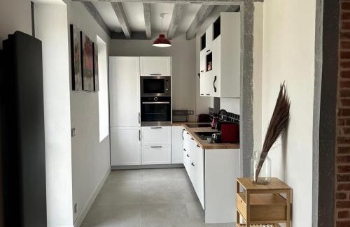 Saint-Eloy-de-Gy House | Maison contemporaine avec piscine et jardin, proche de Bourges - FR-1-586-43