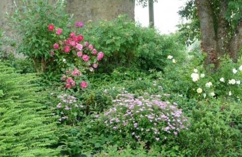 Saint-Remy-de-Sille House | Maison de charme en pierres, 5 chambres, jardin clos, terrasse, calme, ping-pong, proche loisirs. - FR-1-410-150