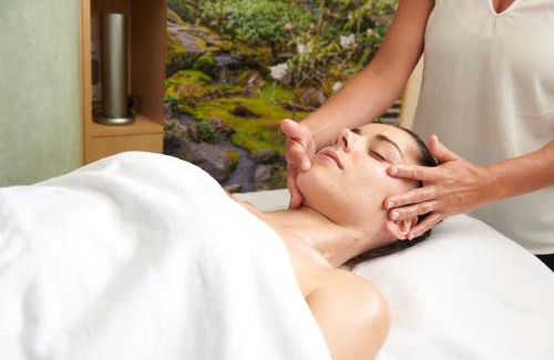 Vannes Bed & Breakfast | Maison de la Garenne & Spa