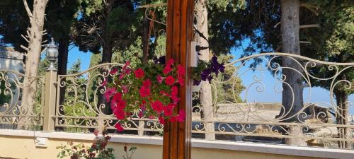 Aley House | Maison des Couleurs