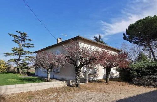 Gaillac House | Maison Gaillacoise