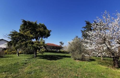 Gaillac House | Maison Gaillacoise