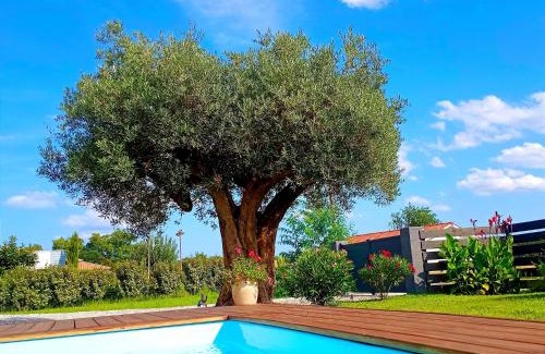 Morcenx Villa | Maison neuve et chaleureuse