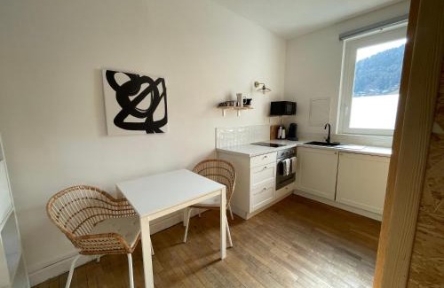 Mont-Dore Apartment | Maison Yuki - Bleu Alpin - Netflix & Parking gratuit
