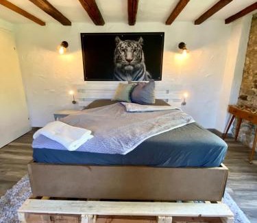 Schmidtheim Apartment | Maisonette Eifel, mit Sauna und Whirlpool