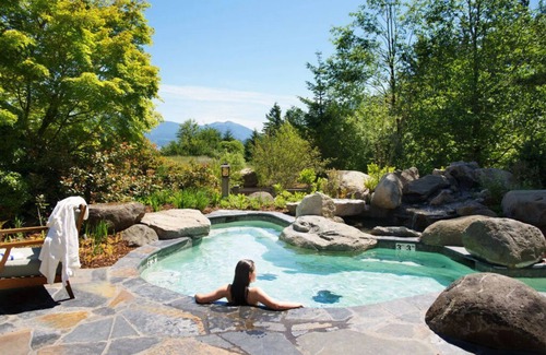 Stevenson Cabin | Majestic Treetop Getaway with Private Firepit