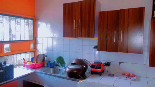 Ikeja Apartment | Maleeks Apartment Ikeja "Shared 2Bedroom Apt, individual private rooms and baths"