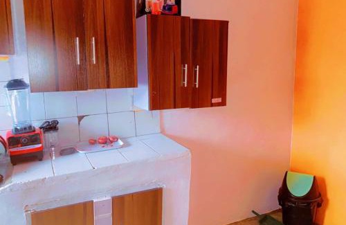 Ikeja Apartment | Maleeks Apartment Ikeja "Shared 2Bedroom Apt, individual private rooms and baths"