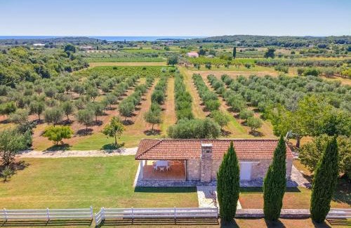 Rovinj Villa | Malipiero Estate - Villa and Cottage