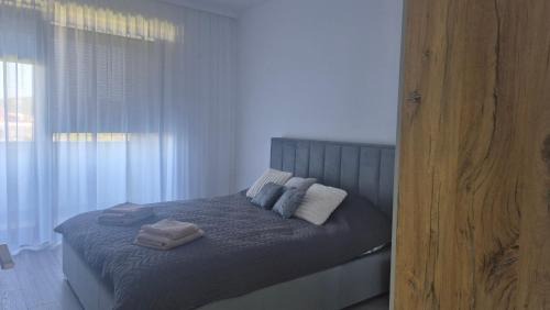 Corunca Apartment | Malvina Apartments Cazare Mures