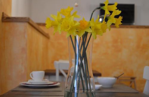 Rovinjsko Selo Apartment | Mama Residence