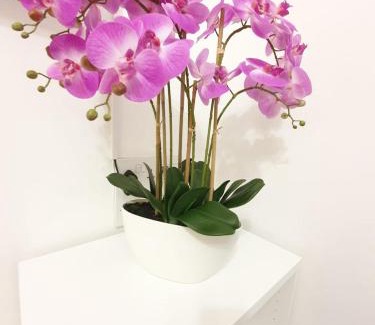 Levenshulme Apartment | Manchester Holiday Apartment