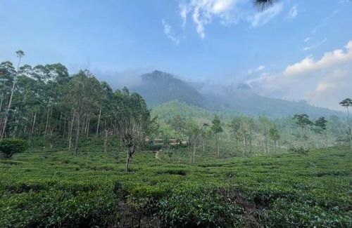 Hildummulla Villa | Mandara Ridge