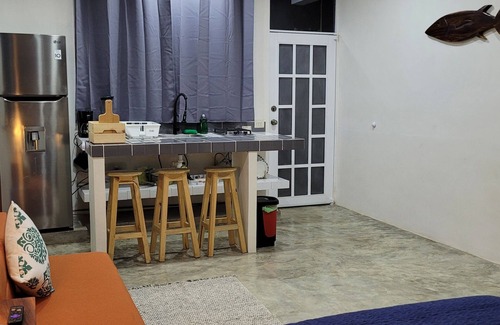 Emiliano Zapata Apartment | Mangal Suites Malinche