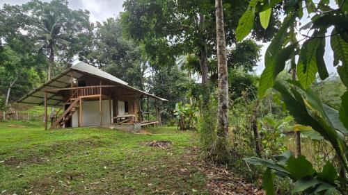 El Valle Other | Manglenato