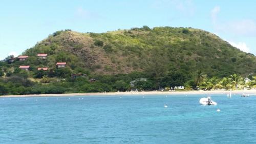 Cades Bay Bed & Breakfast | Manuae House of Birds