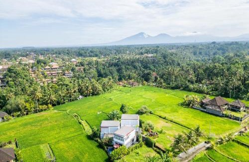 Sambahan Villa | Maple Ridge Ubud Villas with Rice Field View