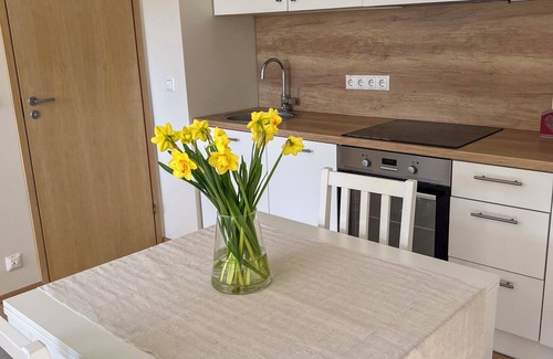 Viljandi Apartment | Maramaa Home Viljandi - Cozy Central Stay